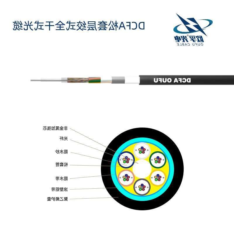 涪陵区DCFA光缆