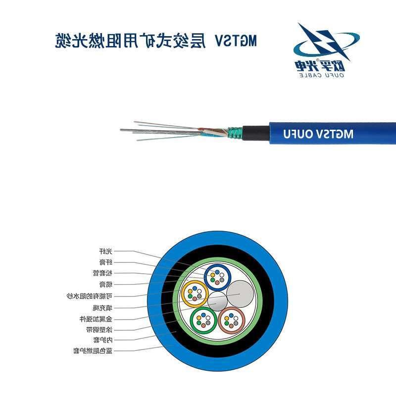 高雄市MGTSV光缆