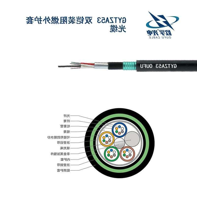 涪陵区GYTZA53光缆