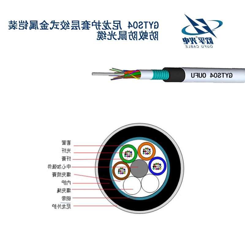 邵阳市GYTS04光缆